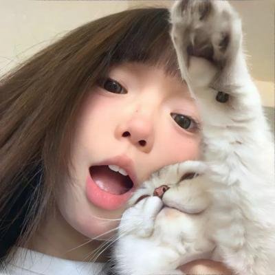 乱世花道